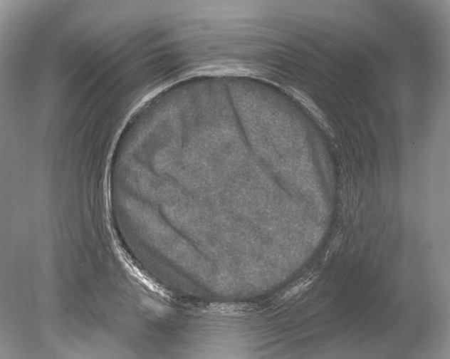 X0000078870840200612111711