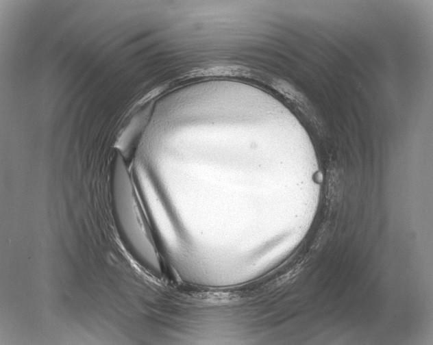 X0000078870841200612111711