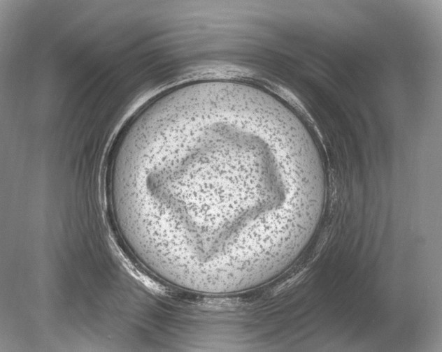 X0000078870843200612111711