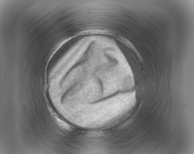 X0000078870844200612111711