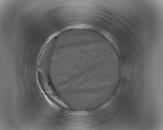 X0000078870845200612111711