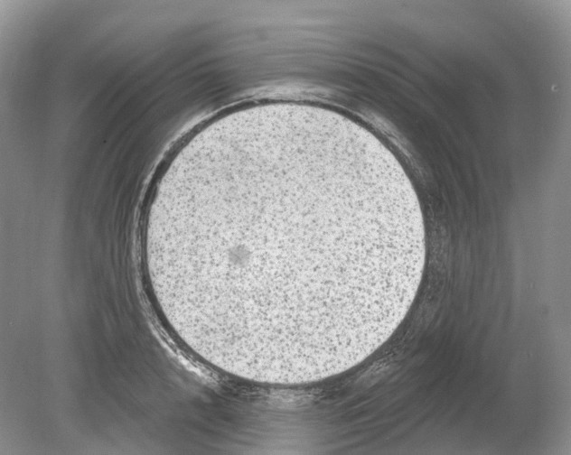 X0000078870848200612111711