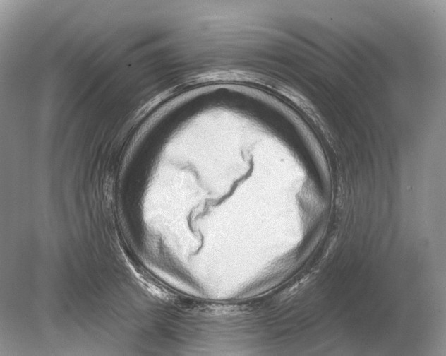 X0000078870849200612111712