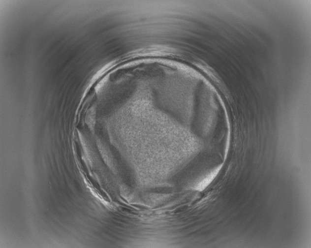 X0000078870850200612111712