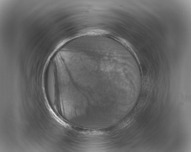 X0000078870851200612111712