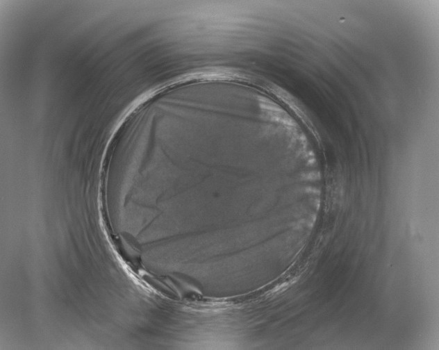 X0000078870853200612111712