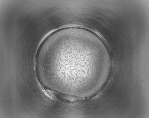 X0000078870854200612111712