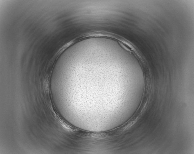 X0000078870857200612111712