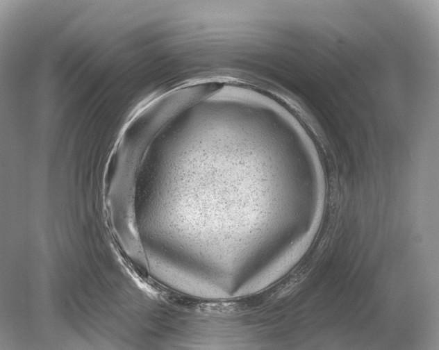 X0000078870858200612111712