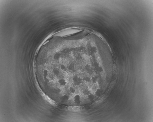 X0000078870859200612111712