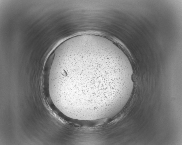 X0000078870860200612111712