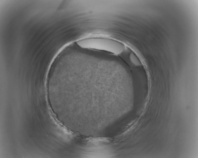 X0000078870864200612111712