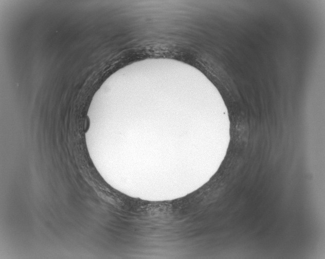 X0000078870865200612111711