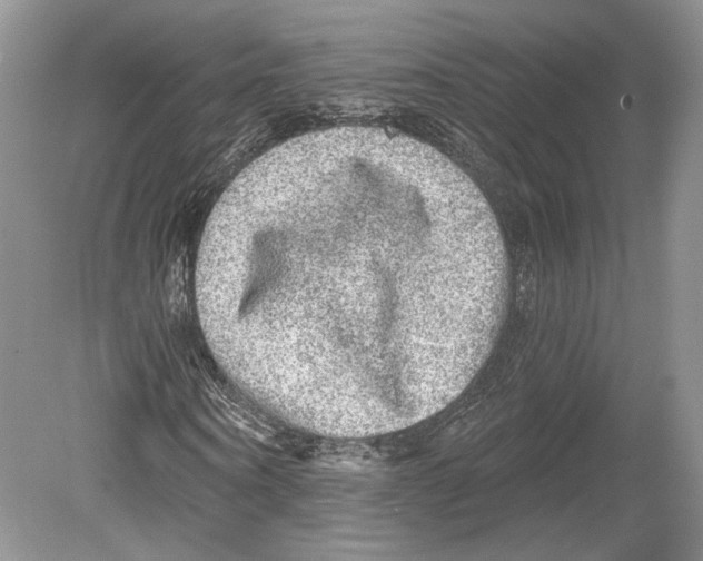 X0000078870866200612111711