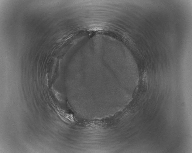 X0000078870868200612111711