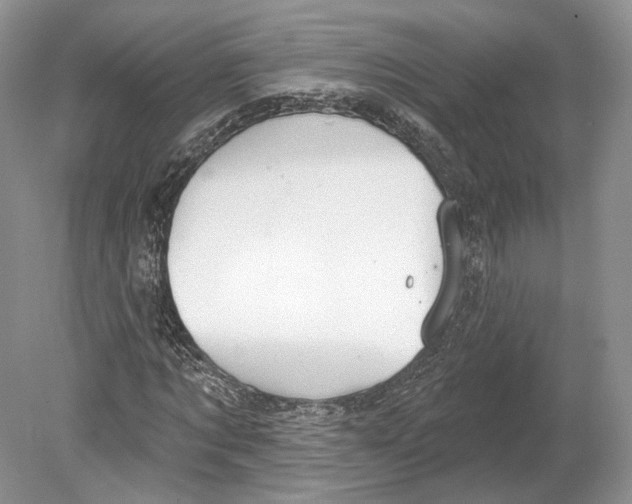 X0000078870869200612111711