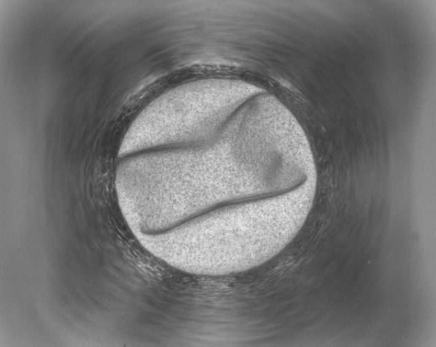 X0000078870870200612111711