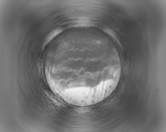 X0000078870874200612111711