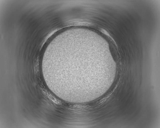 X0000078870875200612111711