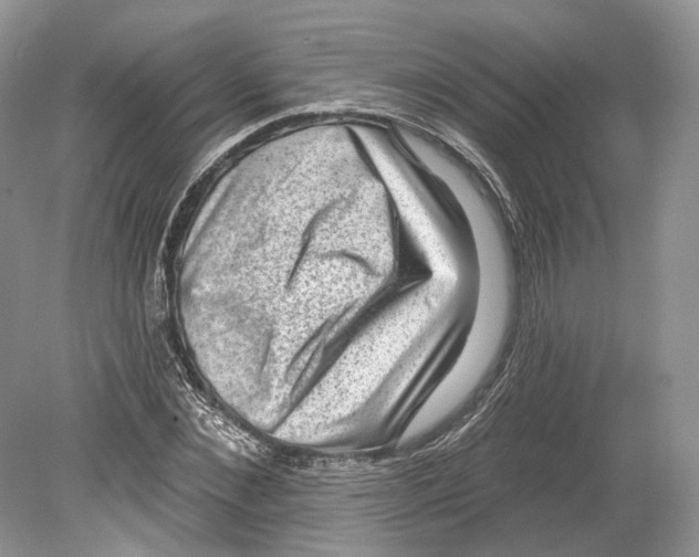 X0000078870876200612111711