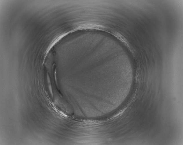 X0000078870877200612111711