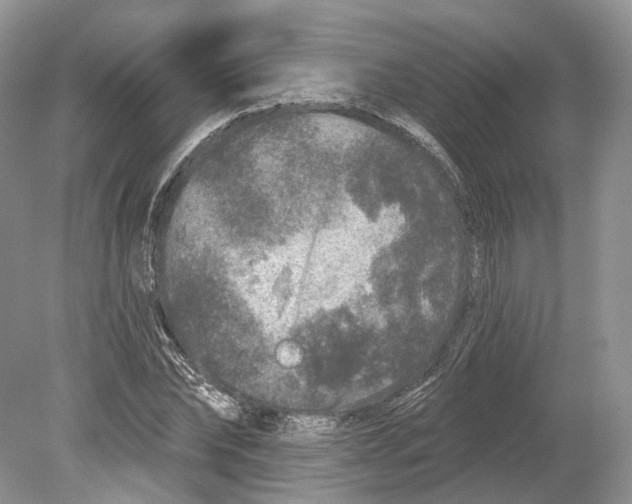 X0000078870878200612111711