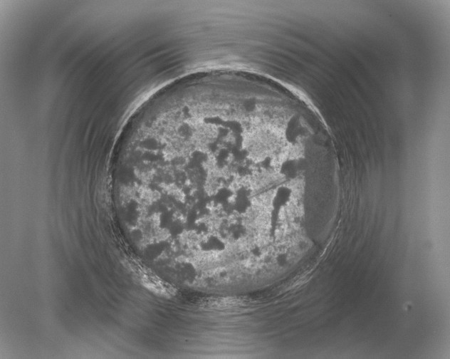 X0000078870879200612111711