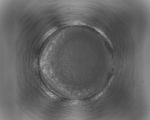 X0000078870881200612111711