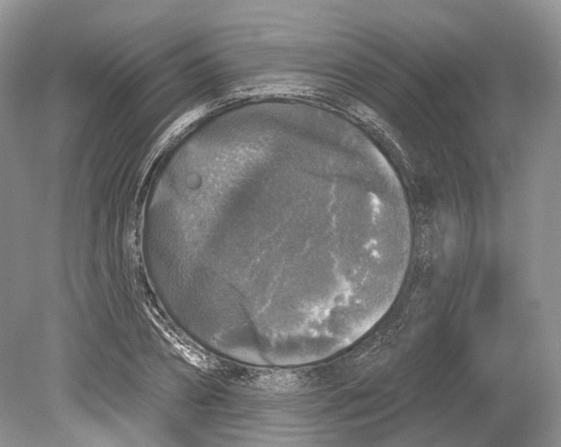 X0000078870882200612111711