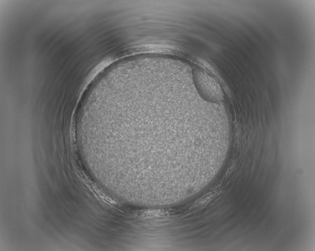 X0000078870883200612111711