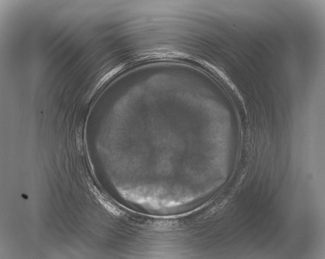 X0000078870889200612111711