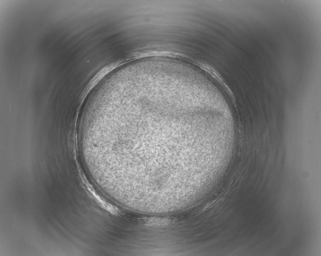 X0000078870890200612111711