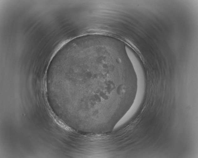 X0000078870891200612111711