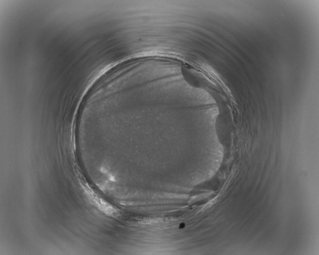 X0000078870892200612111710