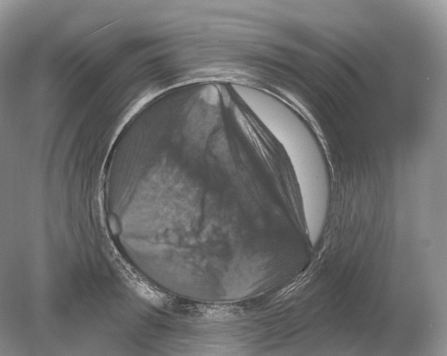 X0000078870899200612111710