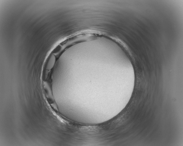 X0000078870902200612111710