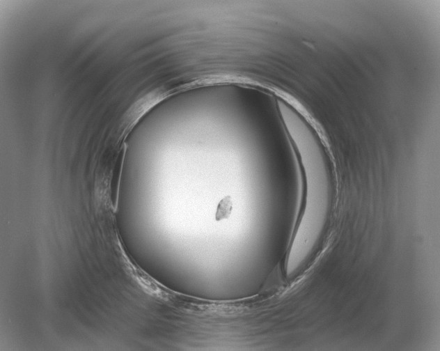 X0000078870905200612111710