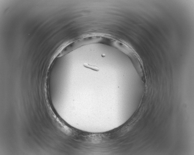 X0000078870906200612111710