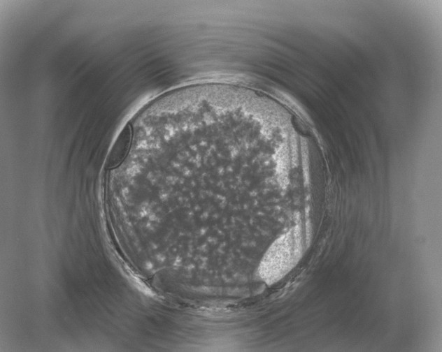 X0000078870907200612111710