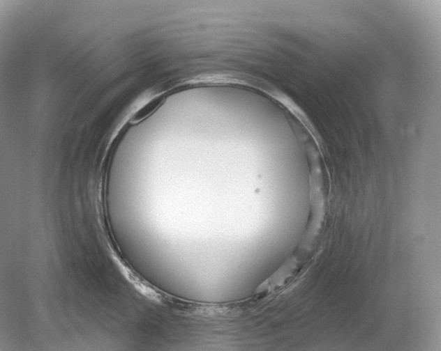 X0000078870909200612111710