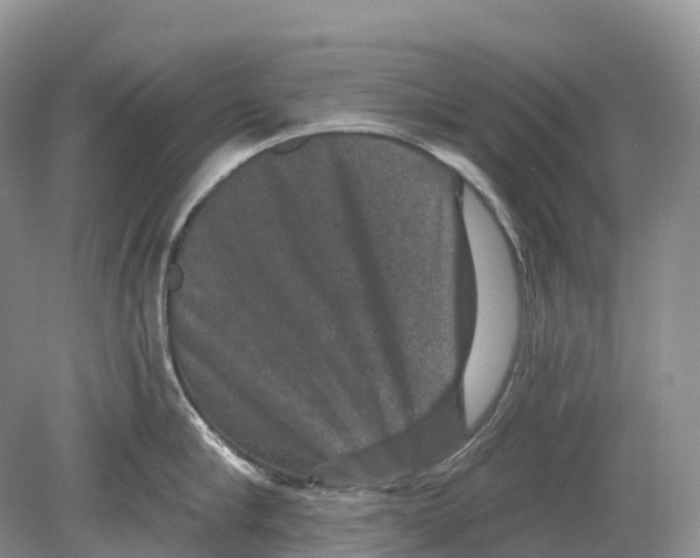 X0000078870910200612111710