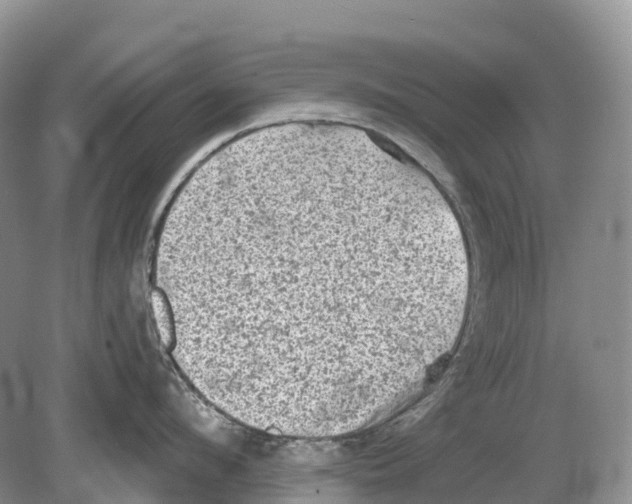 X0000078870912200612111710