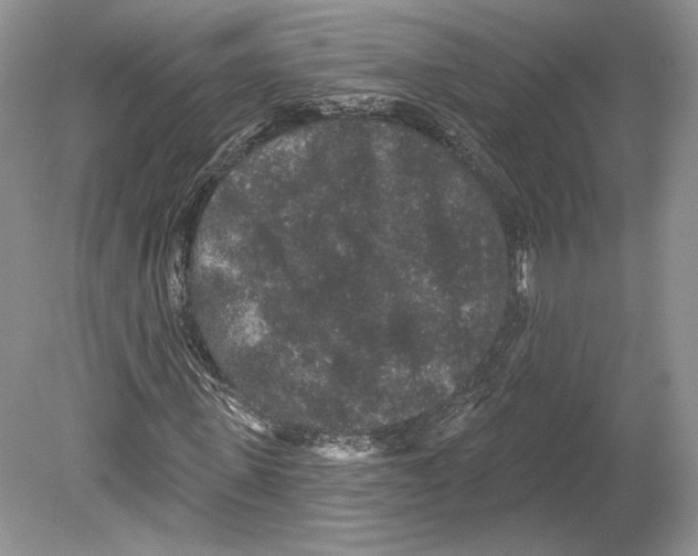 X0000078870915200612111709