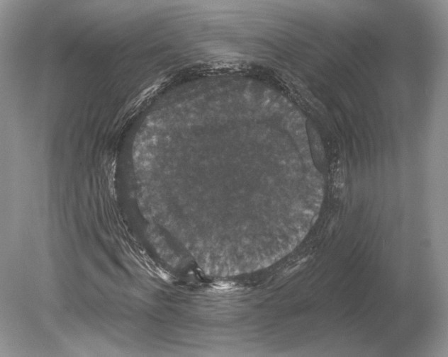 X0000078870916200612111709