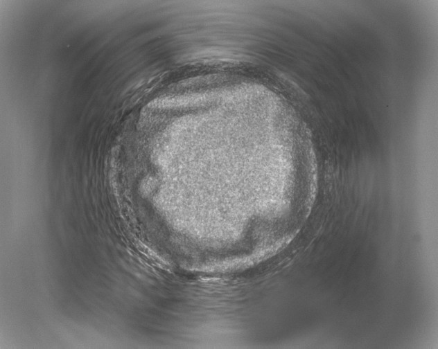 X0000078870917200612111709