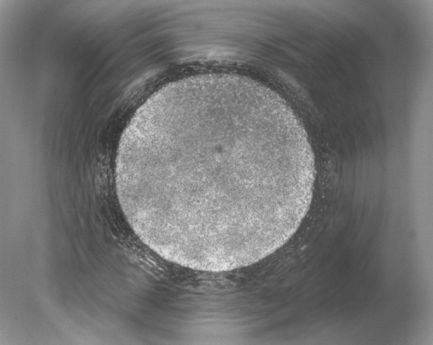 X0000078870918200612111709