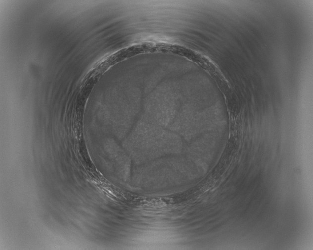 X0000078870919200612111709