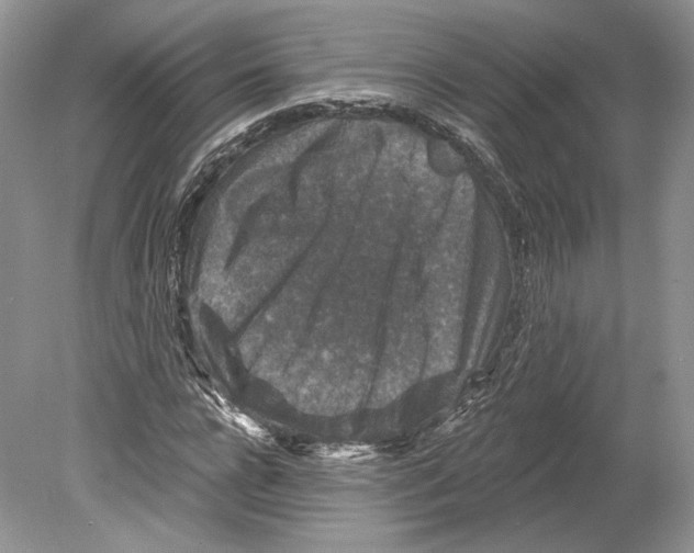 X0000078870920200612111709