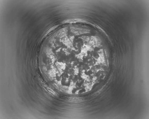 X0000078870921200612111709