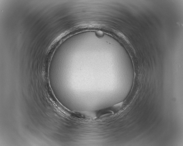 X0000078870922200612111709